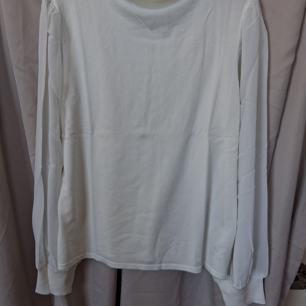 Adrianna Papell Cream Long Sleeve Top